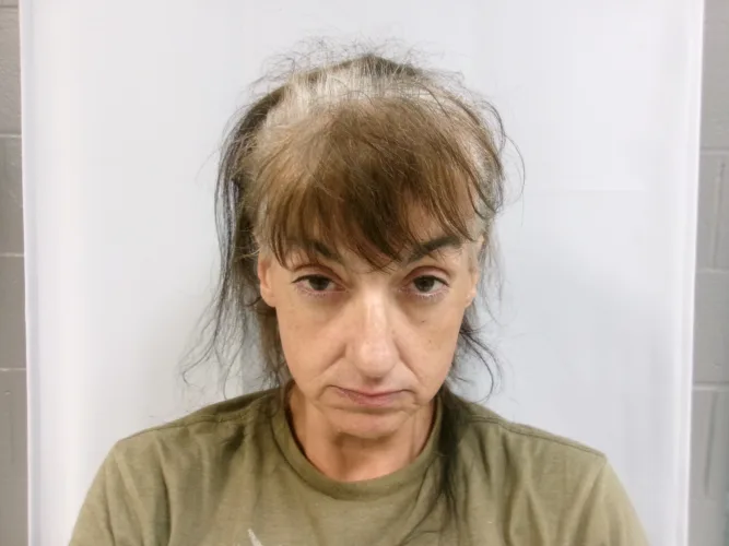 Woman accused of stealing silver coin collection